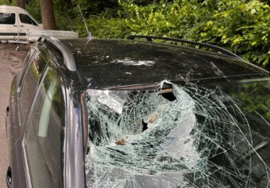 Baum auf Fahrbahn – Windschutzscheibe getroffen
