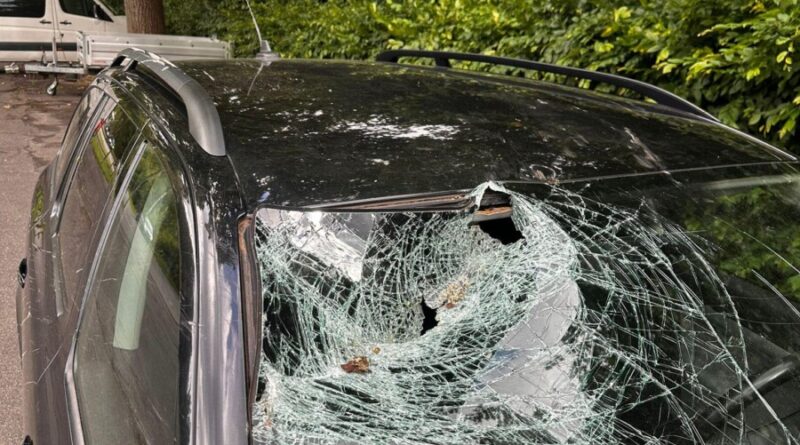 Baum auf Fahrbahn – Windschutzscheibe getroffen