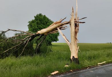 Starkregen trifft Detmolder Norden
