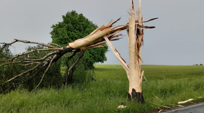 Starkregen trifft Detmolder Norden